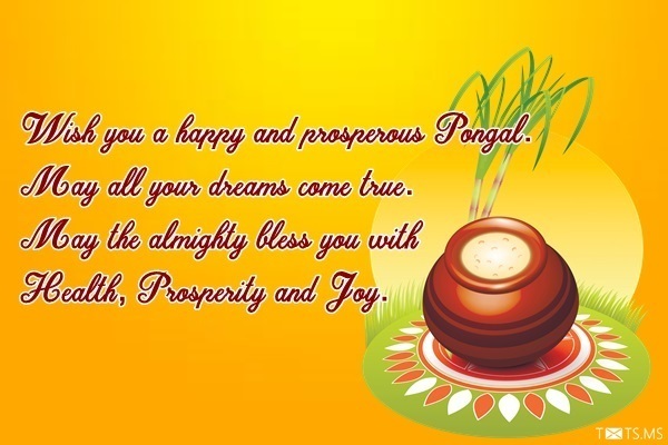 Pongal Wishes