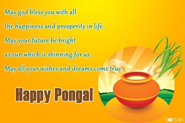 Pongal Wishes