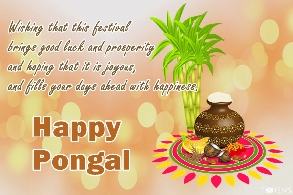 Pongal Wishes