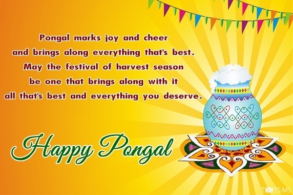 Happy Pongal Wishes