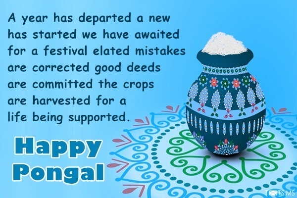 Pongal Wishes Messages