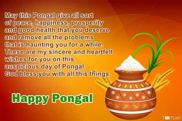 Pongal Wishes Messages