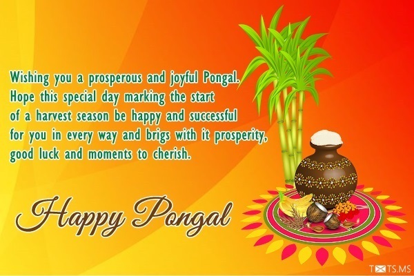 Pongal Wishes