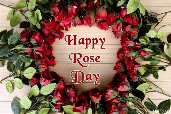 Rose Day Wishes Images