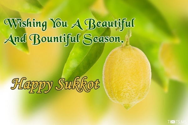 Sukkot Wishes Messages