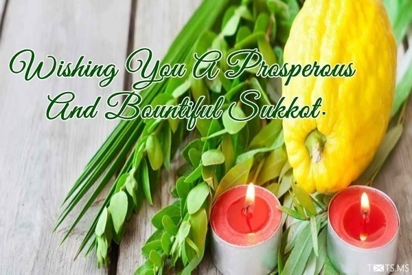 Sukkot Wishes