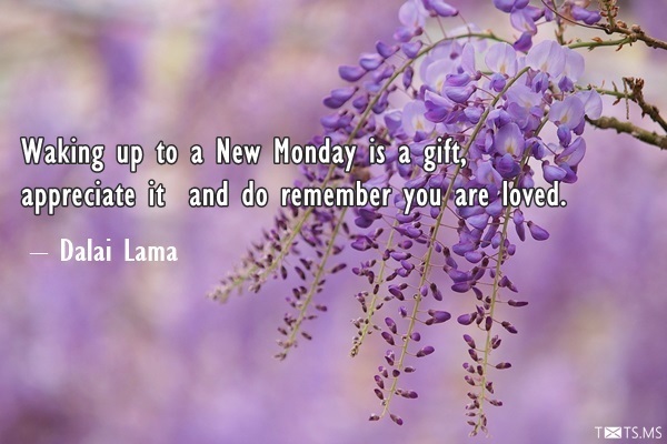 Monday Quotes