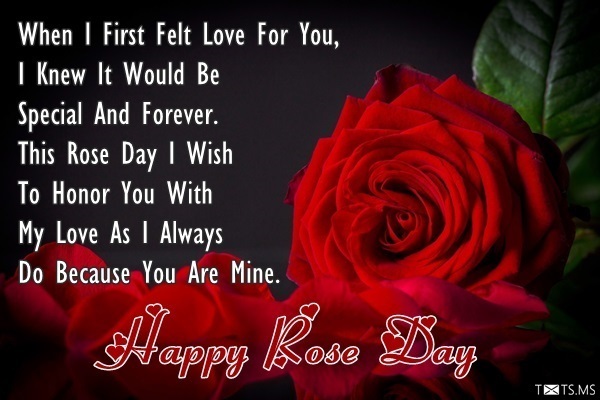 Rose Day Wishes