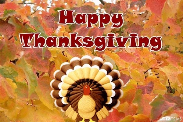 Happy Thanksgiving Images