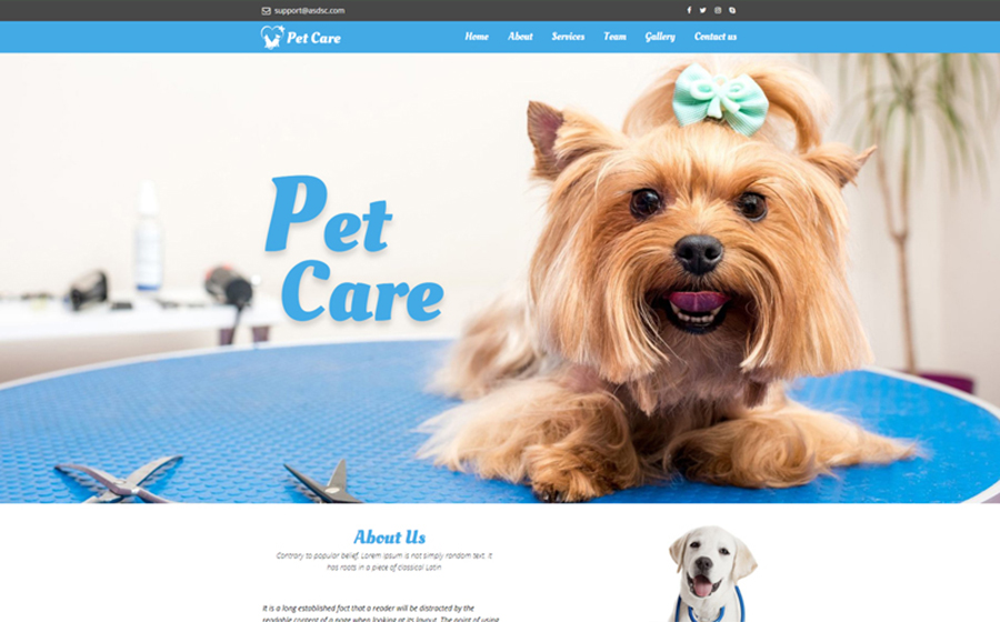 Pet Care Unbounce Template