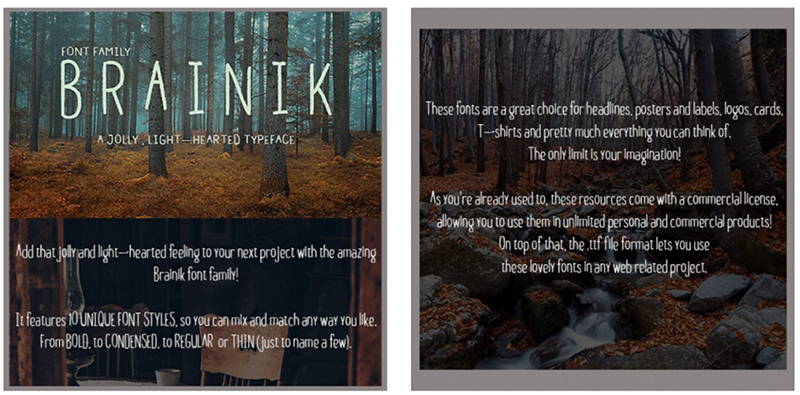 Brainik Font Family: a Typeface You’ll Love