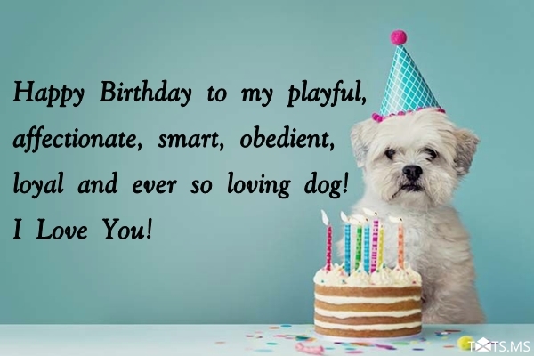 Birthday Wishes for Dogs