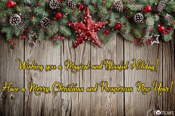 Merry Christmas Wishes for Friends