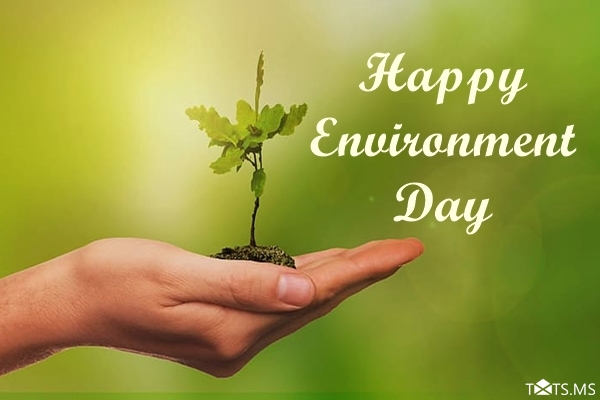 World Environment Day Wishes Images