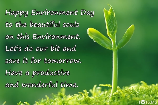 World Environment Day Wishes