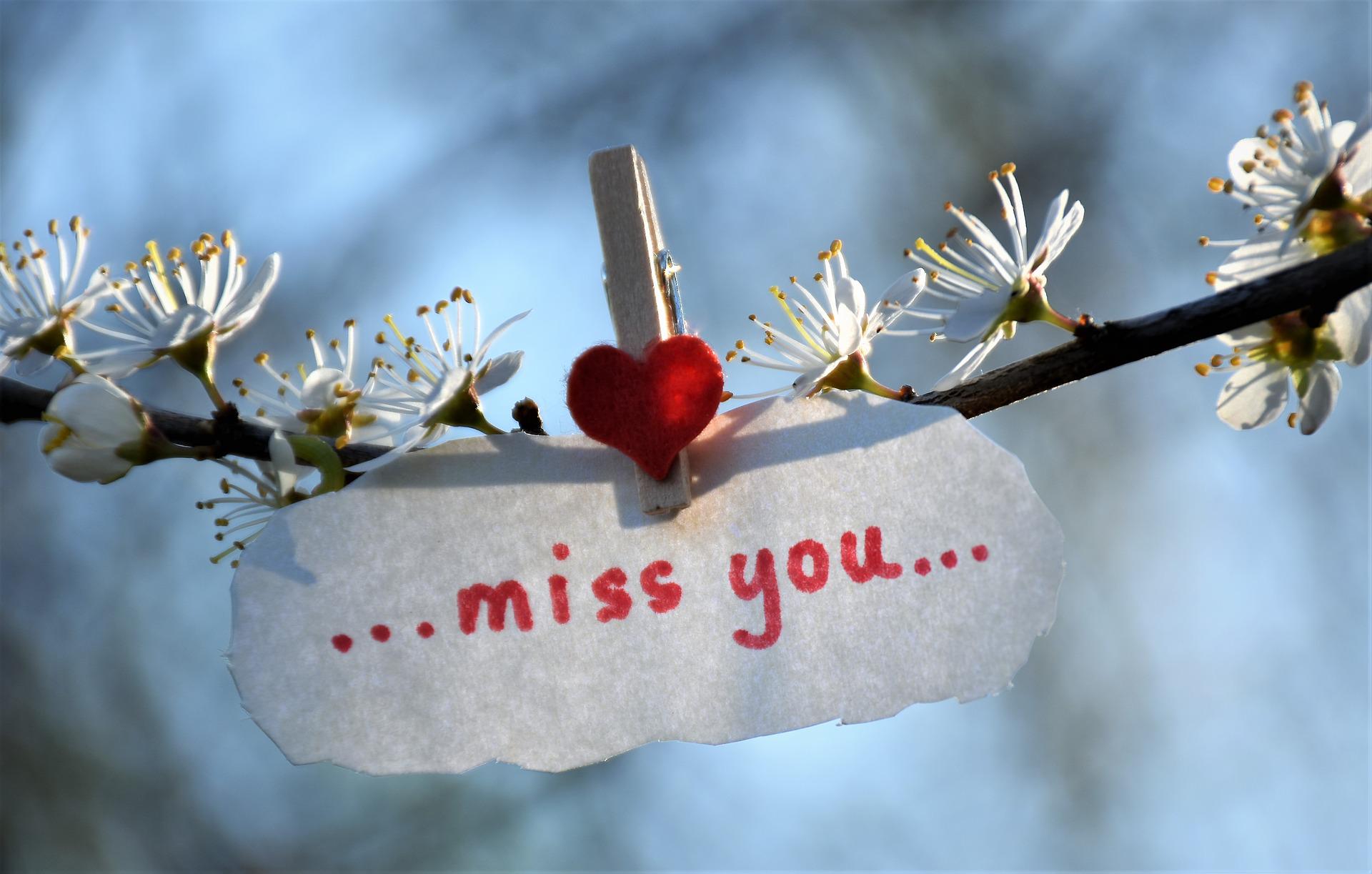 I Miss You Messages for Girlfriend