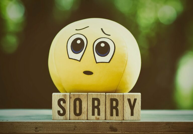 Sorry Messages