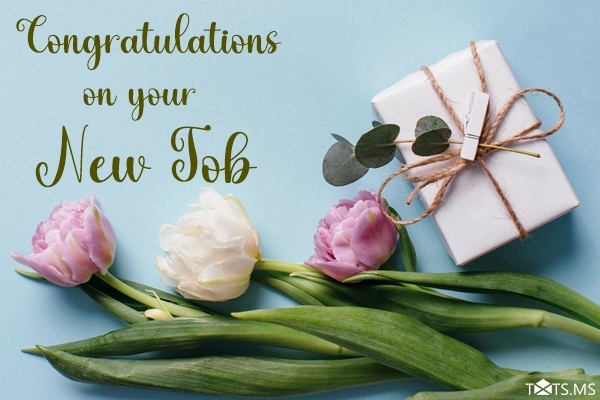 Best Wishes for New Job