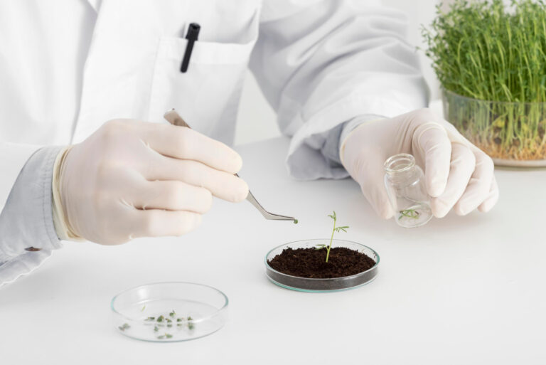 Biocentrism Debunked: Examining the Claims and Critiques