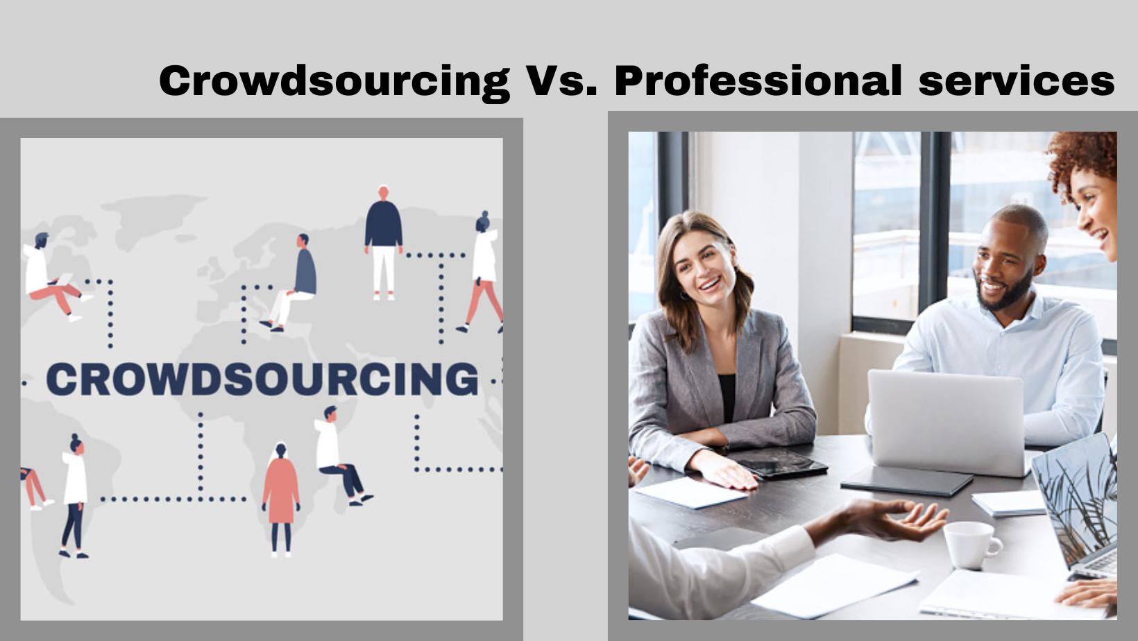 Crowdsourcing vs. Professional services