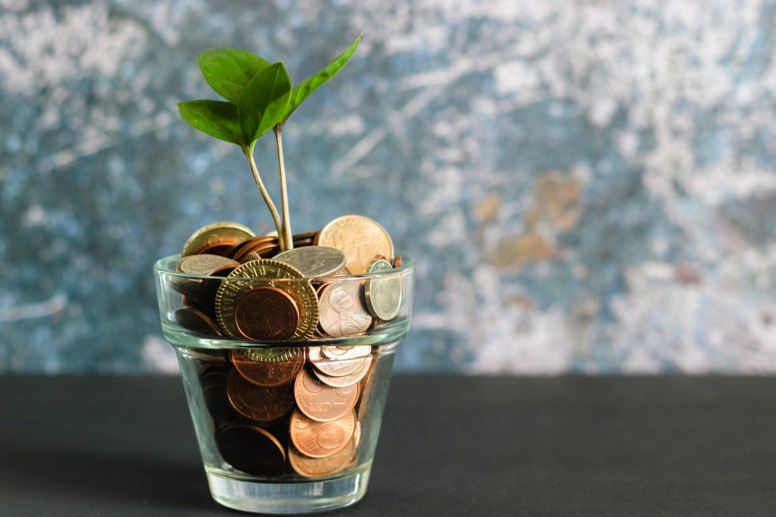 How Can a Finance Consultant Help Your Business?
