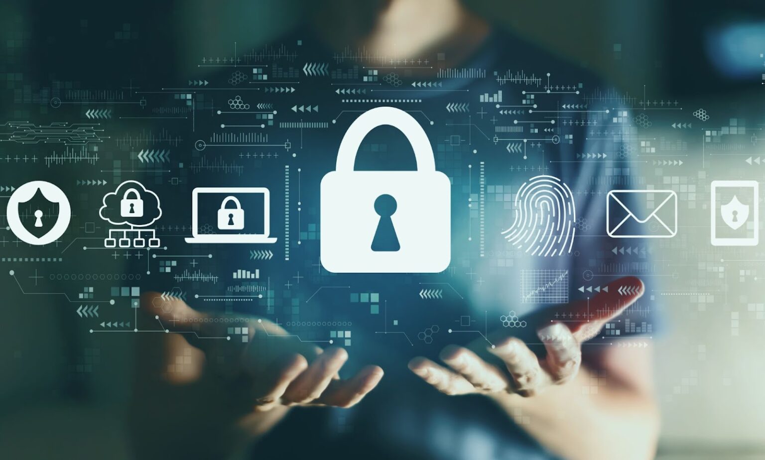 Mastering Web Security: A Guide for Small Business Owners