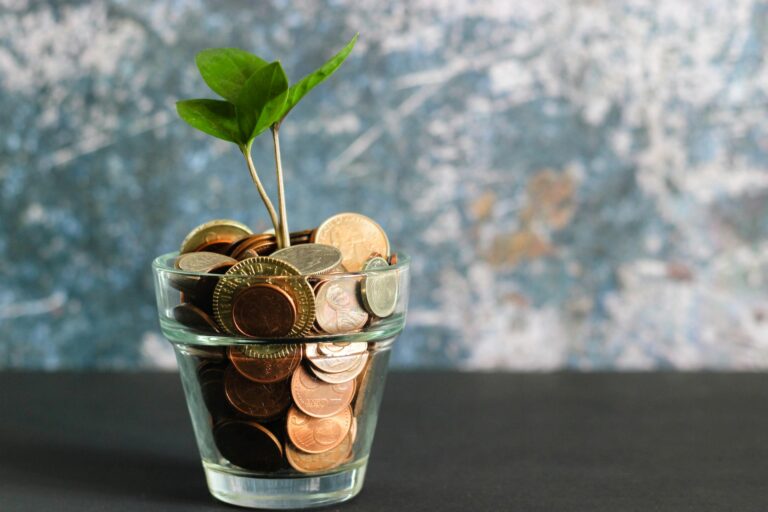 Understanding the Benefits of the SBG Program for Your Business