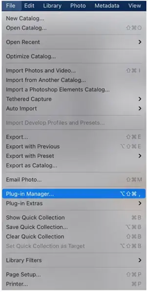 Using Plugin