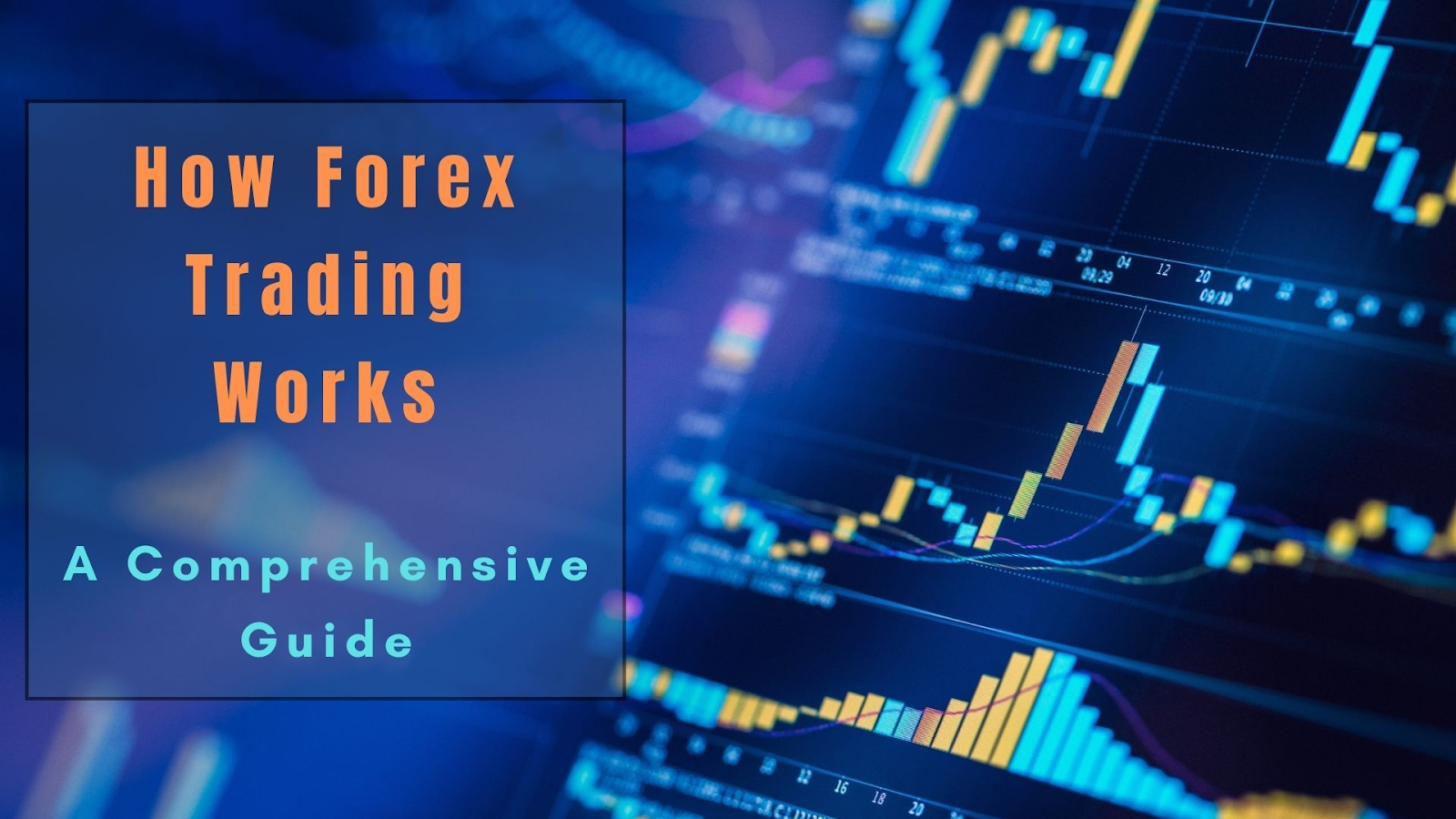 How Forex Trading Works: A Comprehensive Guide For Beginners