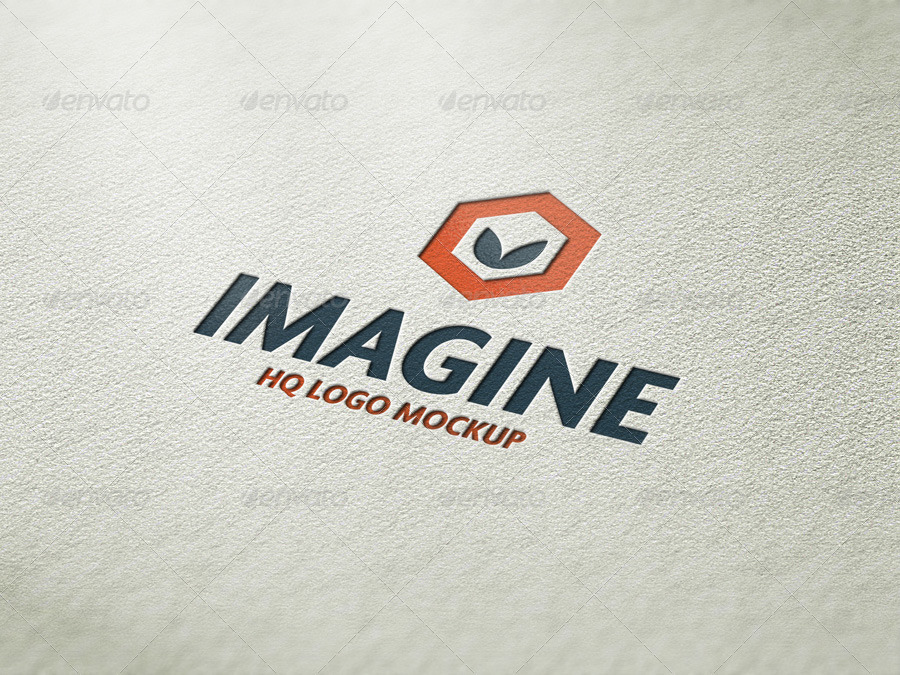 Logo Mockup