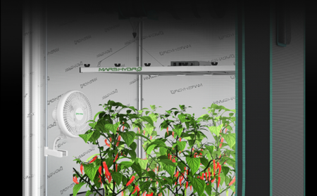 How important is ventilation inside a grow tent?