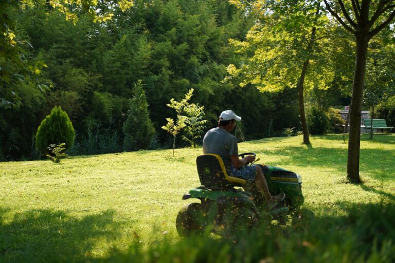 Gardening Tips & Tricks To Be Aware Of