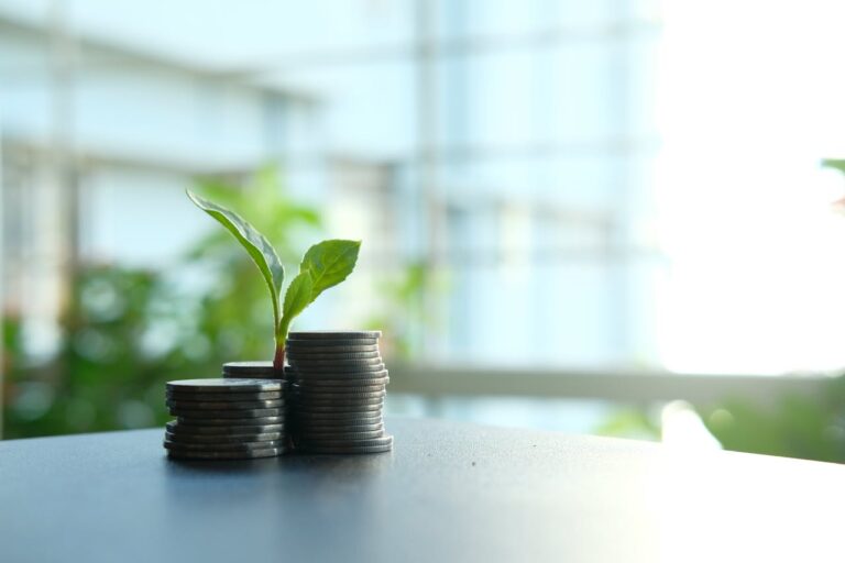 Multi-cap funds that have delivered strong risk-adjusted returns